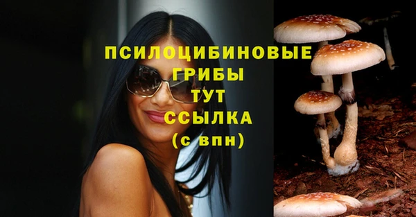 винт Белокуриха