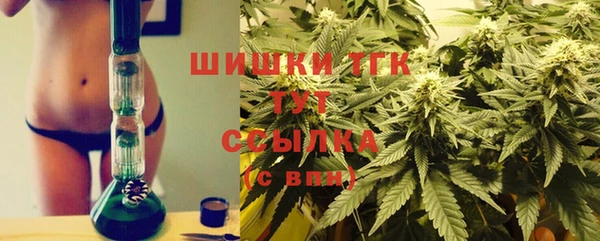 винт Белокуриха