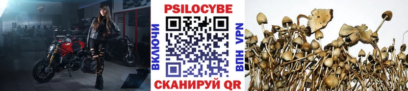 Псилоцибиновые грибы Magic Shrooms  Купить  Руза 